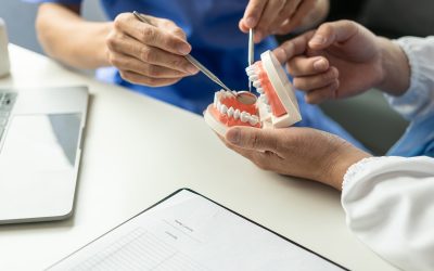 consult a dentist at the dental clinic office The dentist holds